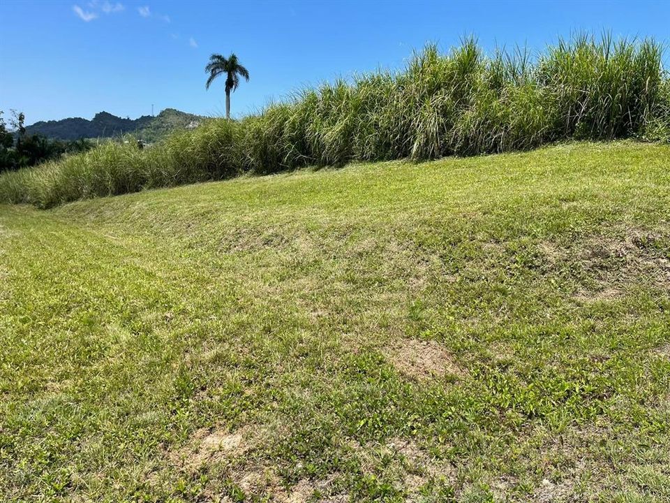 На продажу: $248,295 (17.31 acres)