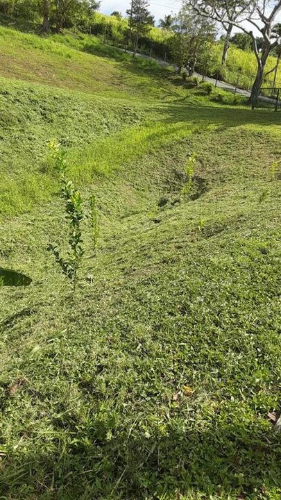 На продажу: $248,295 (17.31 acres)