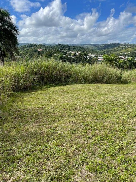 На продажу: $248,295 (17.31 acres)