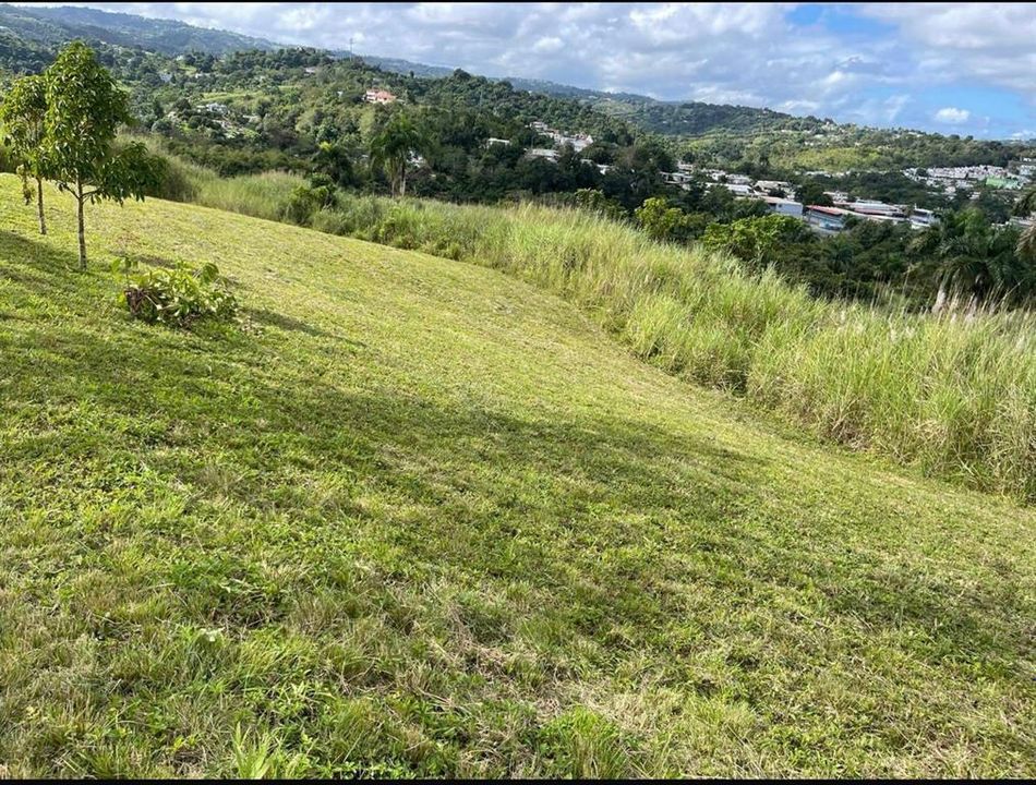На продажу: $248,295 (17.31 acres)