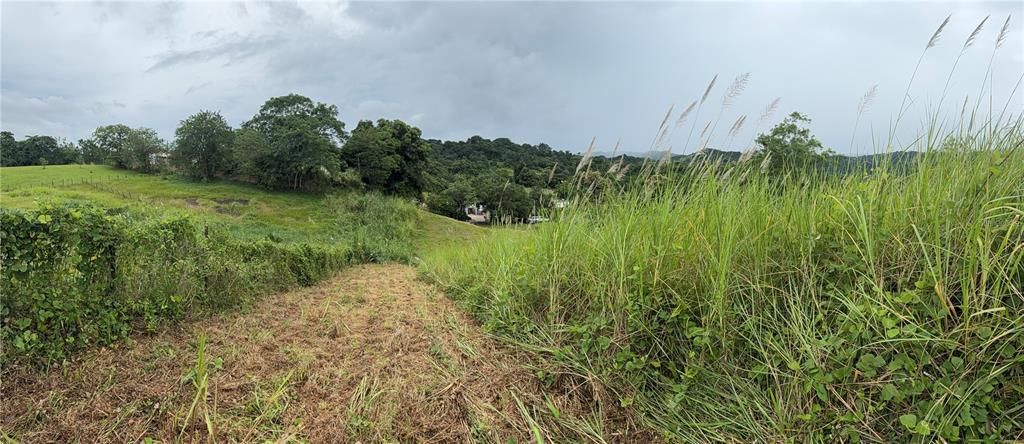 На продажу: $248,295 (17.31 acres)