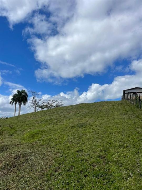 На продажу: $248,295 (17.31 acres)