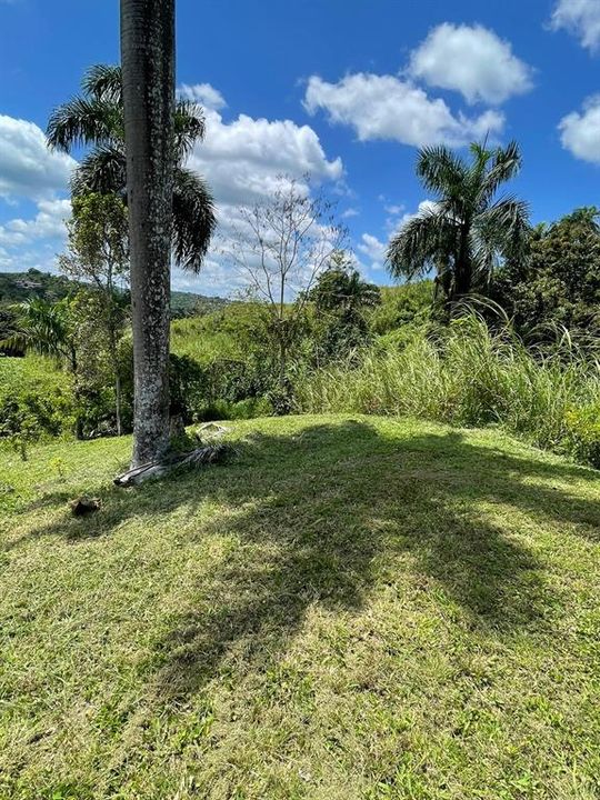 На продажу: $248,295 (17.31 acres)