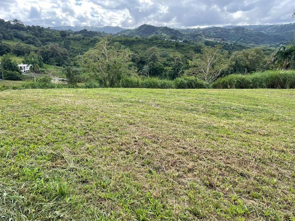 На продажу: $248,295 (17.31 acres)