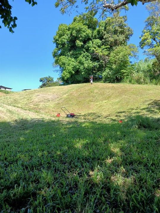 На продажу: $248,295 (17.31 acres)