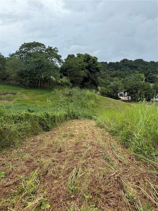 На продажу: $248,295 (17.31 acres)