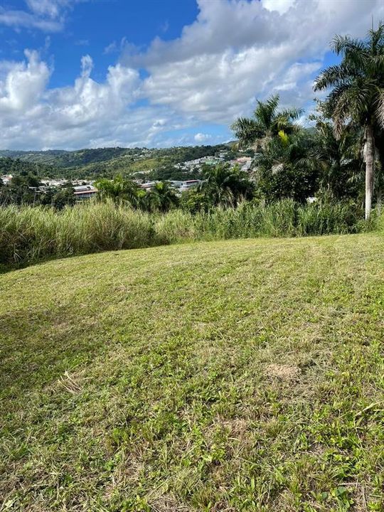 На продажу: $248,295 (17.31 acres)