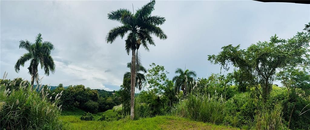 На продажу: $248,295 (17.31 acres)