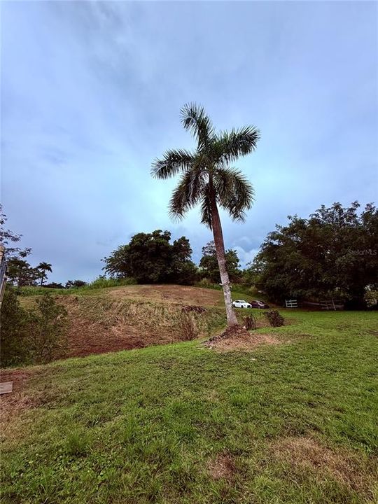 На продажу: $248,295 (17.31 acres)