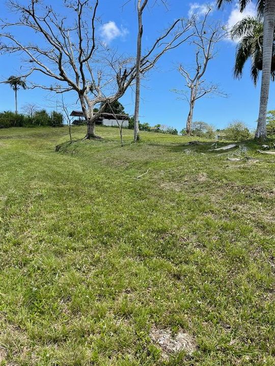 На продажу: $248,295 (17.31 acres)