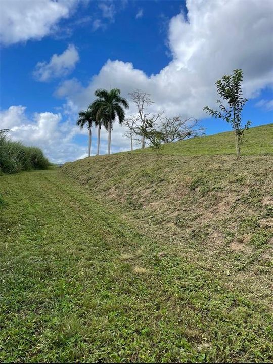 На продажу: $248,295 (17.31 acres)