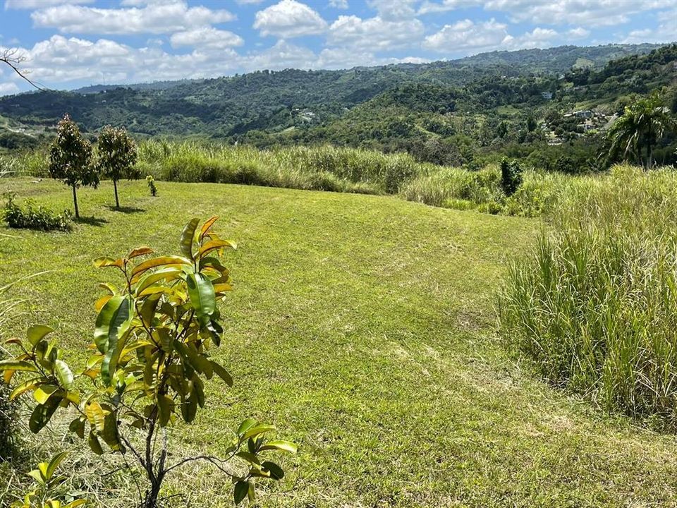На продажу: $248,295 (17.31 acres)