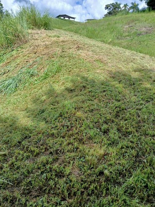 На продажу: $248,295 (17.31 acres)