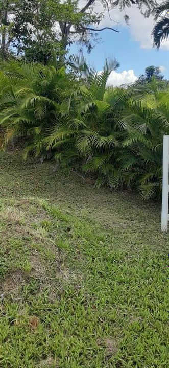 На продажу: $248,295 (17.31 acres)