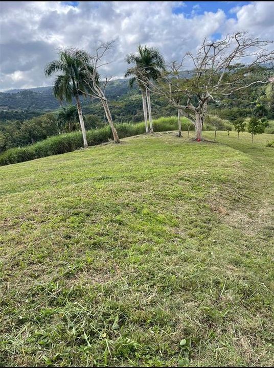 На продажу: $248,295 (17.31 acres)