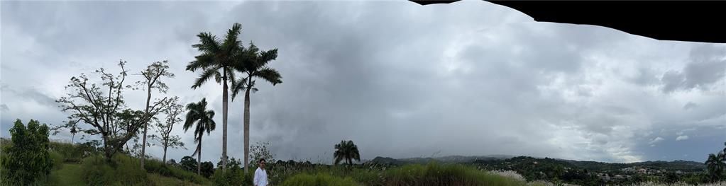 На продажу: $248,295 (17.31 acres)