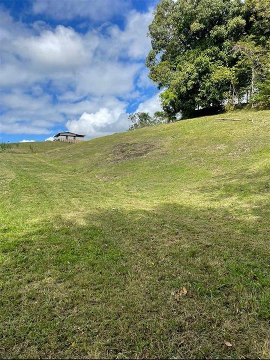 На продажу: $248,295 (17.31 acres)