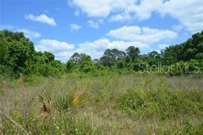 На продажу: $23,000 (0.31 acres)