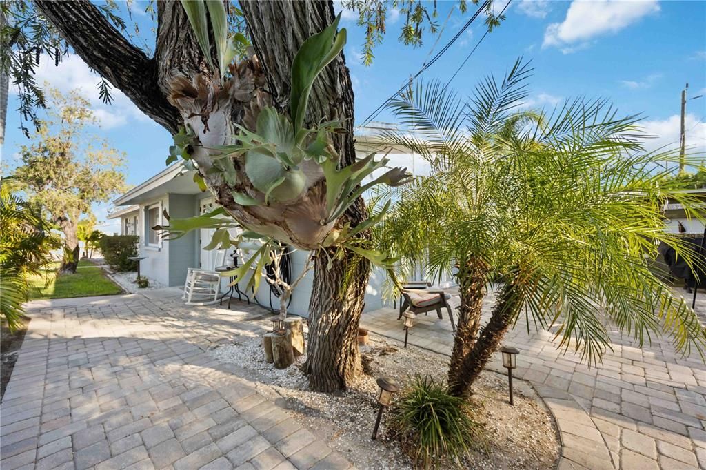 На продажу: $699,000 (4 спален, 0 ванн, 1464 Квадратных фут)