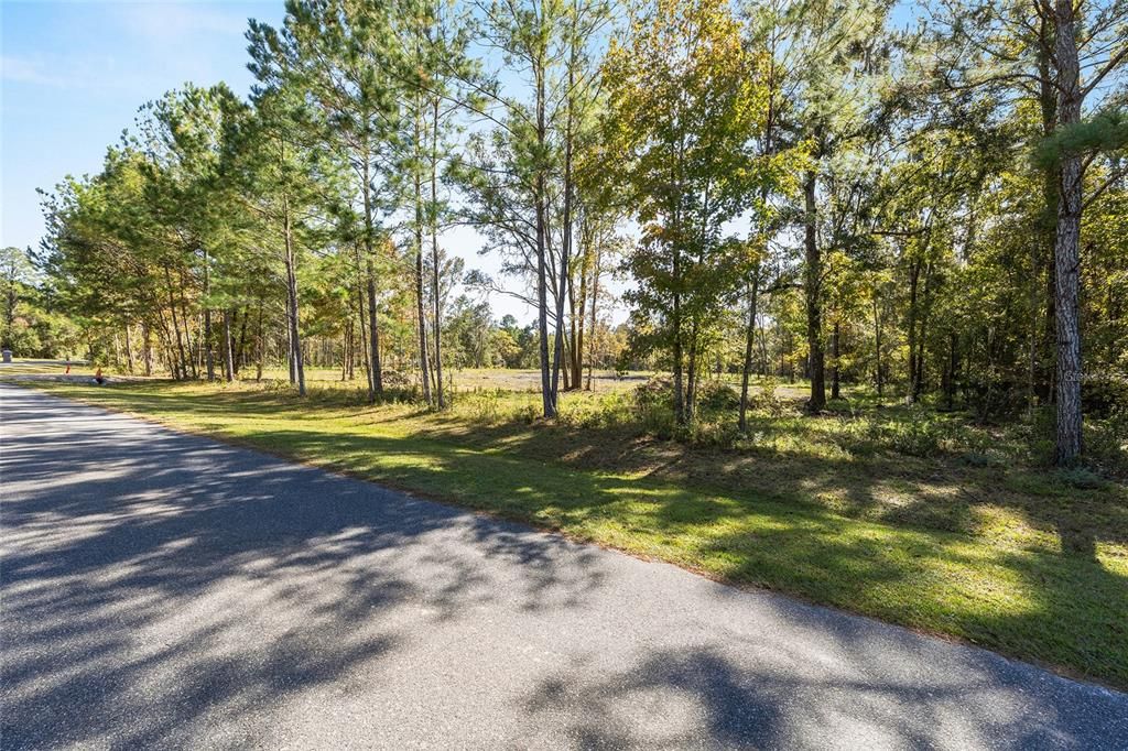 For Sale: $249,000 (4.31 acres)