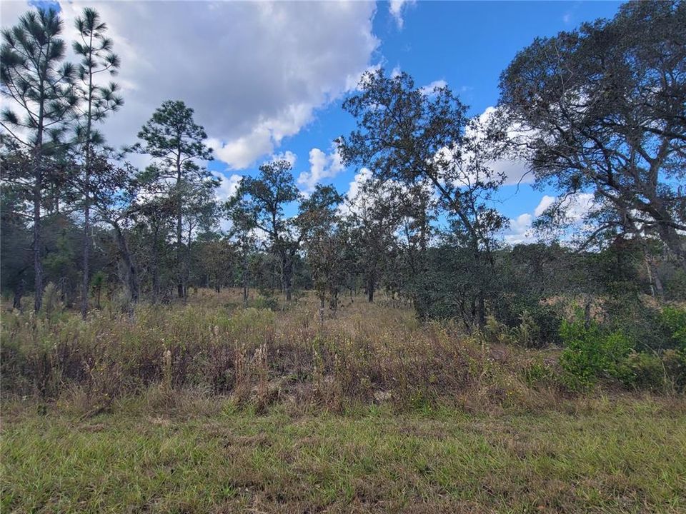 En Venta: $27,000 (1.01 acres)