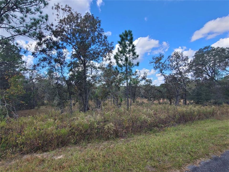 En Venta: $27,000 (1.01 acres)