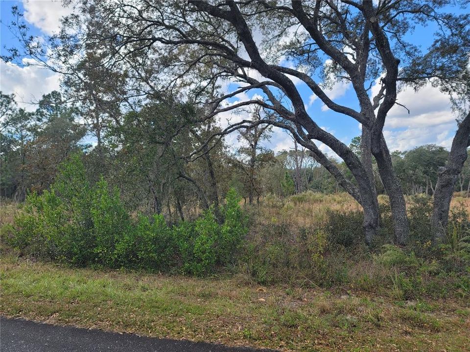 En Venta: $27,000 (1.01 acres)