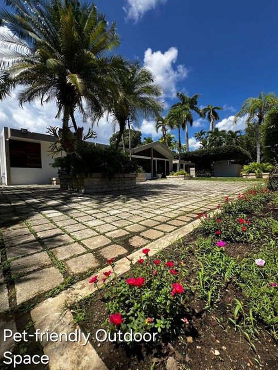 В аренду: $5,800 (4 спален, 4 ванн, 3800 Квадратных фут)