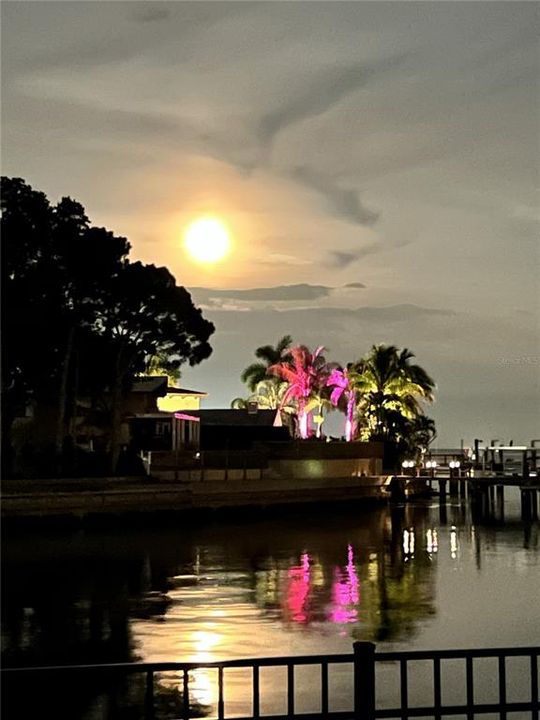 На продажу: $2,499,000 (4 спален, 4 ванн, 3699 Квадратных фут)