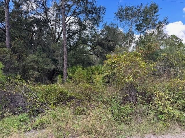 For Sale: $37,400 (0.22 acres)