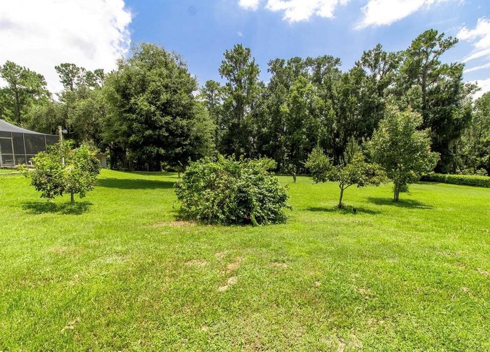 На продажу: $729,900 (4 спален, 2 ванн, 3442 Квадратных фут)