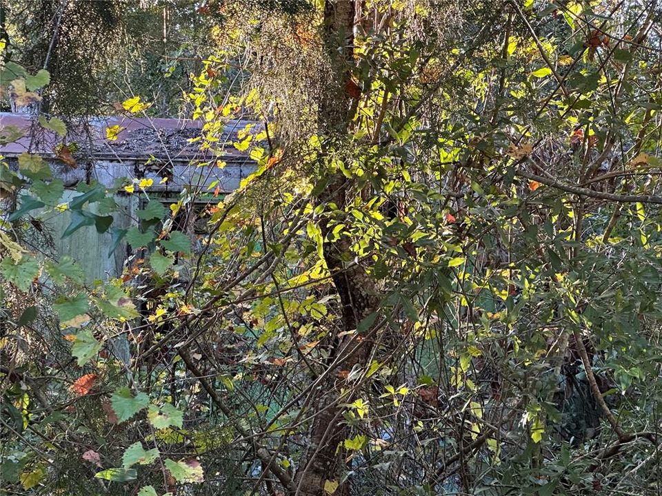 For Sale: $15,000 (0.45 acres)