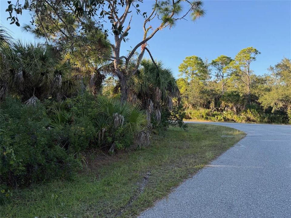 Active With Contract: $15,000 (0.30 acres)