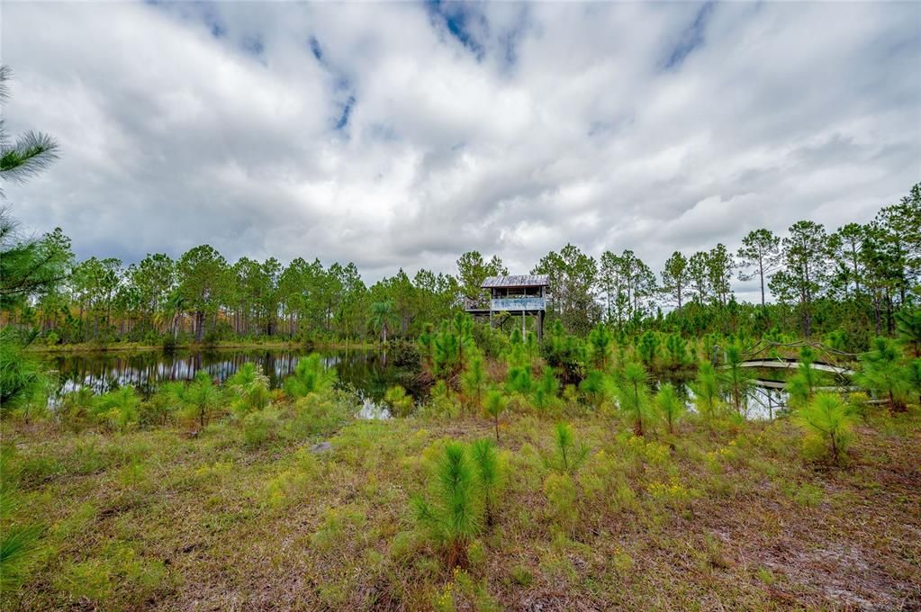 На продажу: $300,000 (10.00 acres)