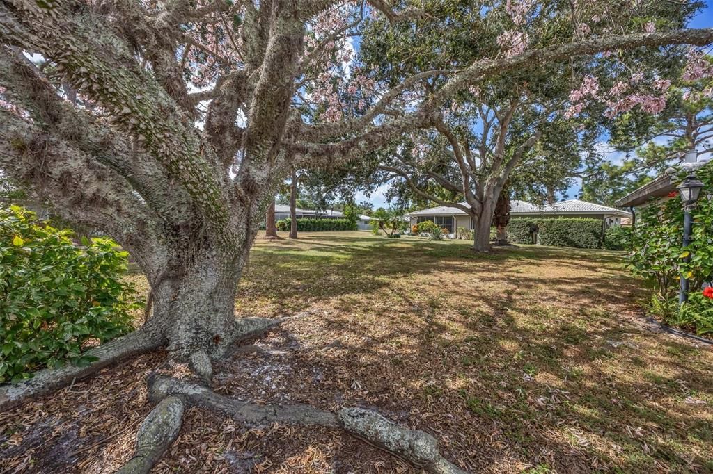 На продажу: $290,000 (2 спален, 2 ванн, 1974 Квадратных фут)