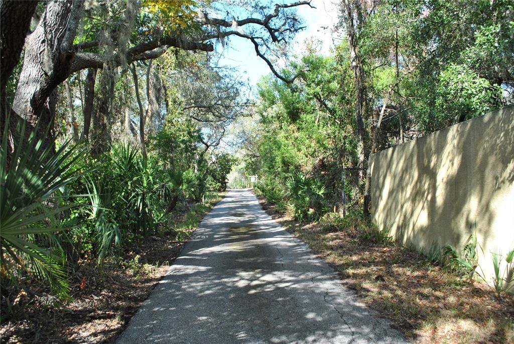 For Sale: $775,000 (2.92 acres)