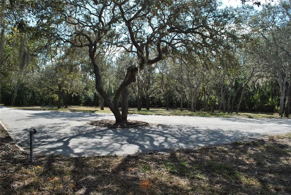 For Sale: $775,000 (2.92 acres)