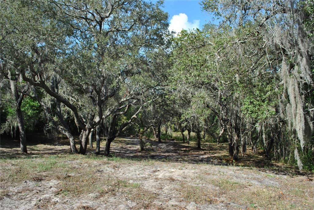 For Sale: $775,000 (2.92 acres)