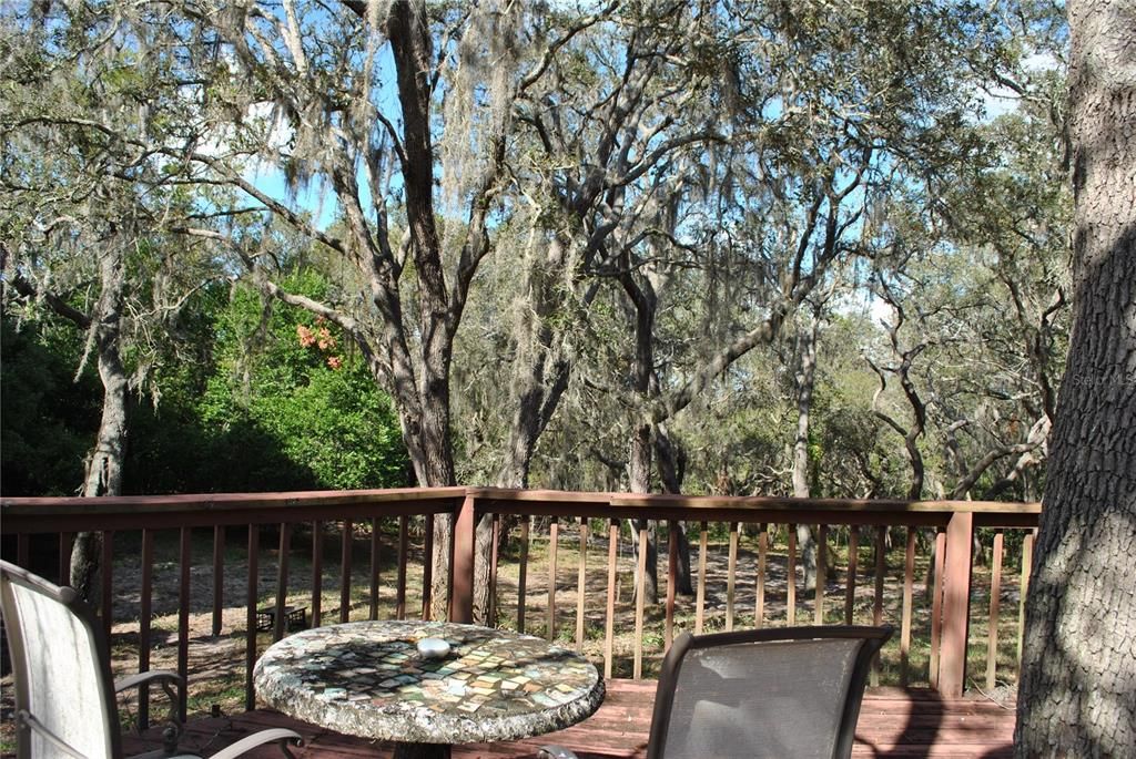 For Sale: $775,000 (2.92 acres)