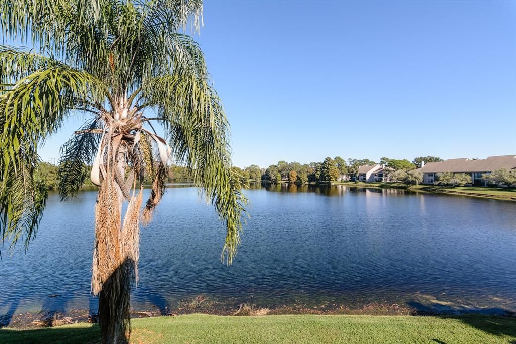 En Venta: $447,000 (3 camas, 3 baños, 2500 Pies cuadrados)