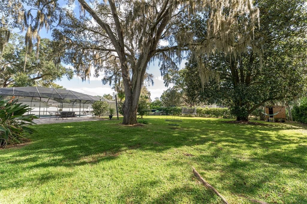 Active With Contract: $500,000 (3 beds, 2 baths, 1794 Square Feet)