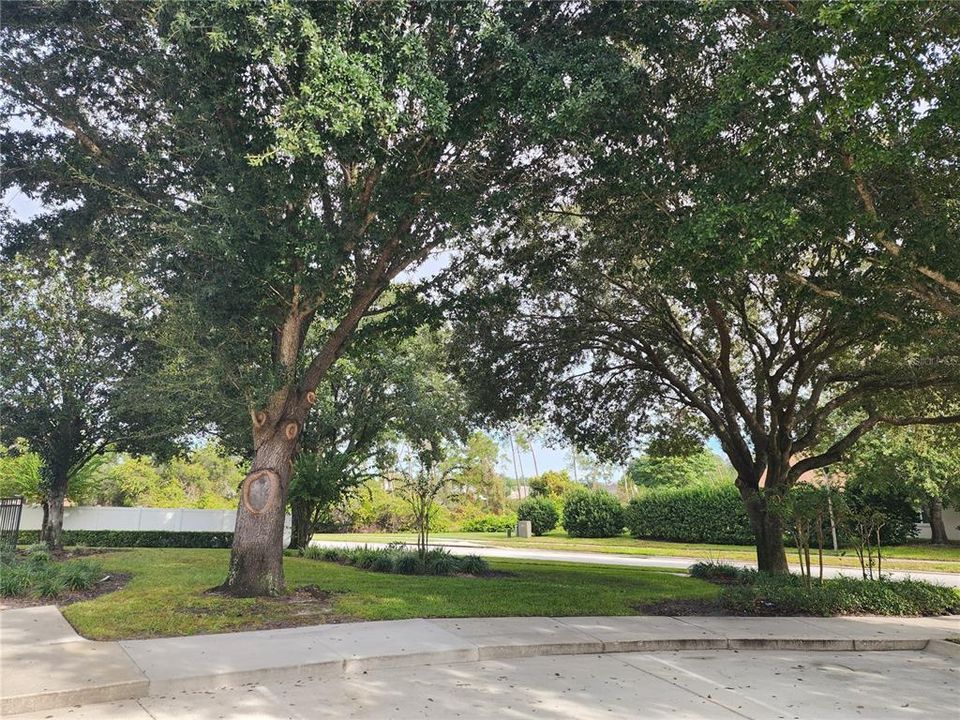 En Venta: $350,000 (4 camas, 2 baños, 1870 Pies cuadrados)