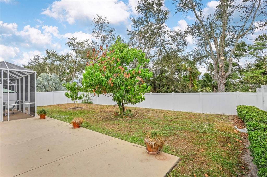 Active With Contract: $375,000 (3 beds, 2 baths, 1743 Square Feet)