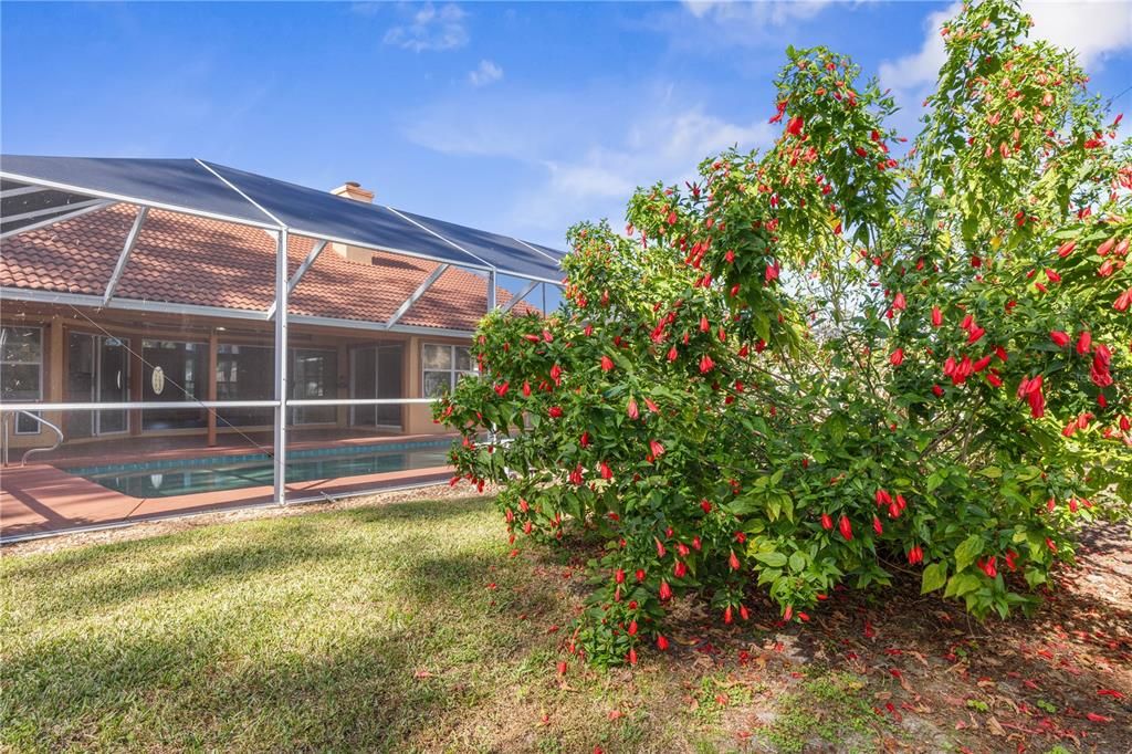 Active With Contract: $400,000 (3 beds, 2 baths, 2030 Square Feet)