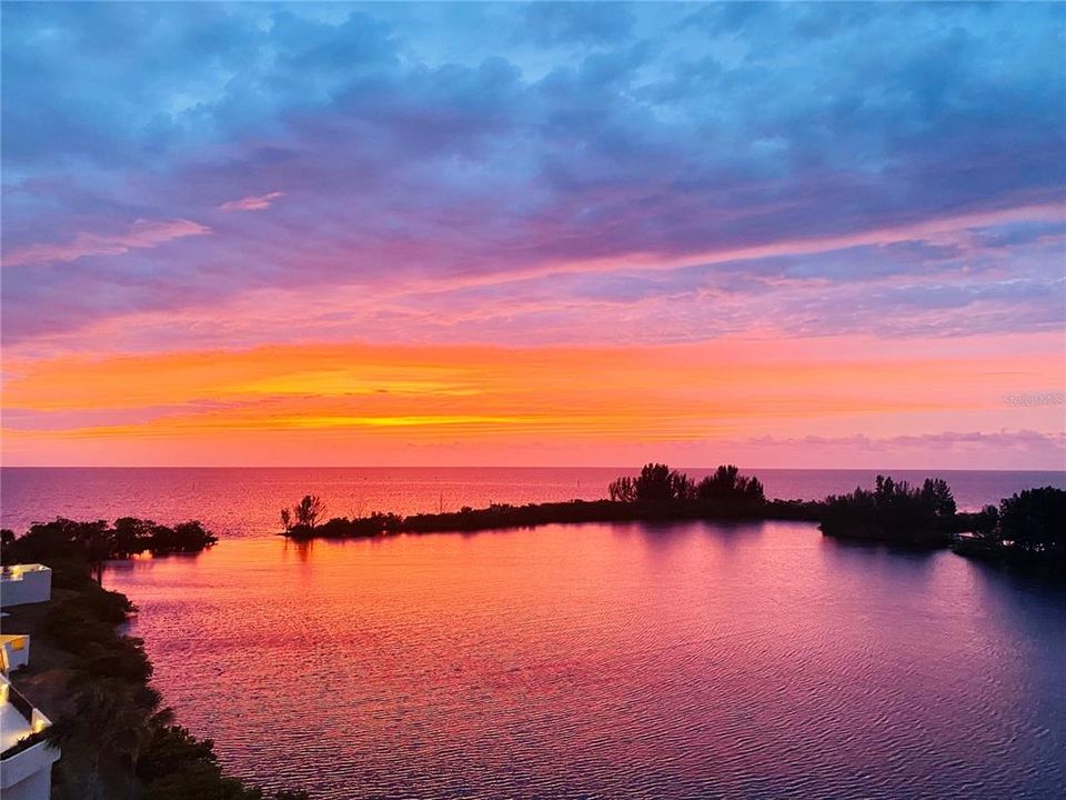 出租: $1,950 (1 贝兹, 1 浴室, 733 平方英尺)