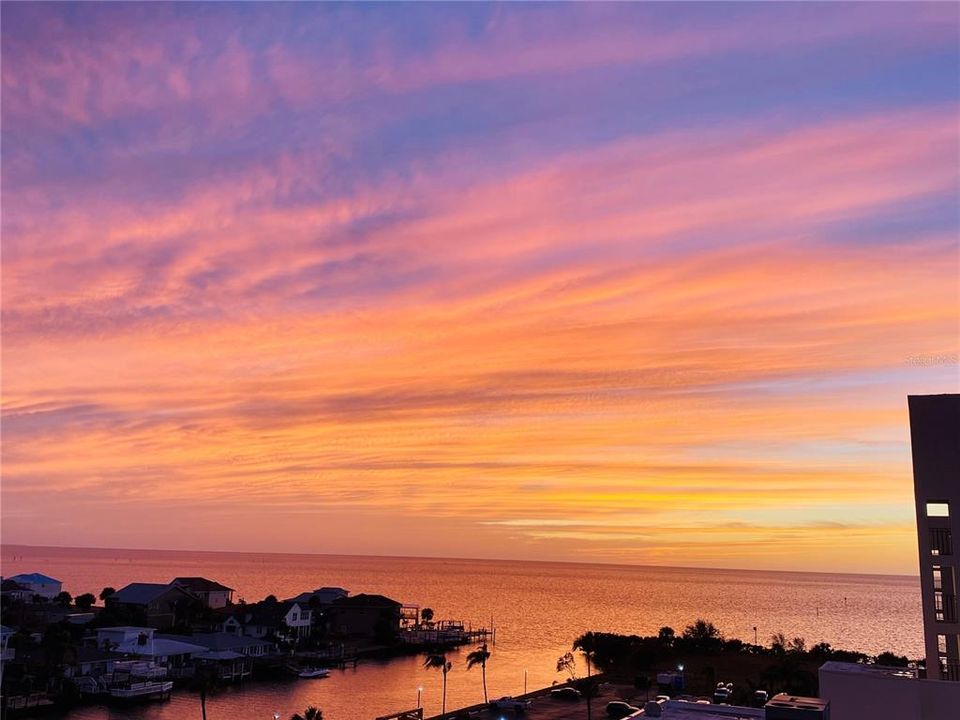 出租: $1,950 (1 贝兹, 1 浴室, 733 平方英尺)