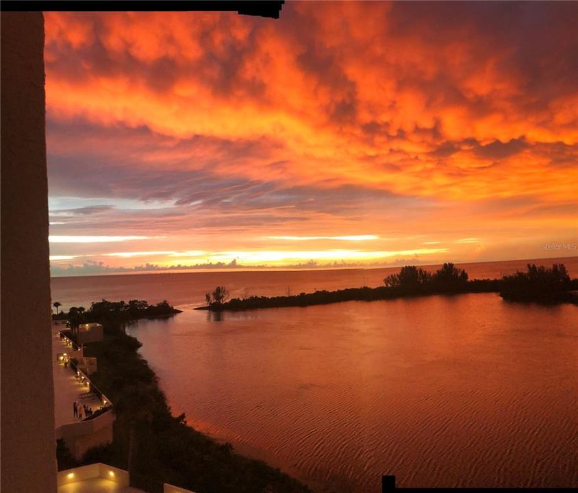 出租: $1,950 (1 贝兹, 1 浴室, 733 平方英尺)