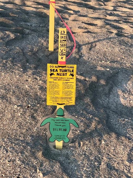 En Renta: $5,000 (2 camas, 2 baños, 1032 Pies cuadrados)