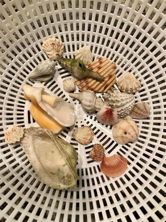 En Renta: $5,000 (2 camas, 2 baños, 1032 Pies cuadrados)