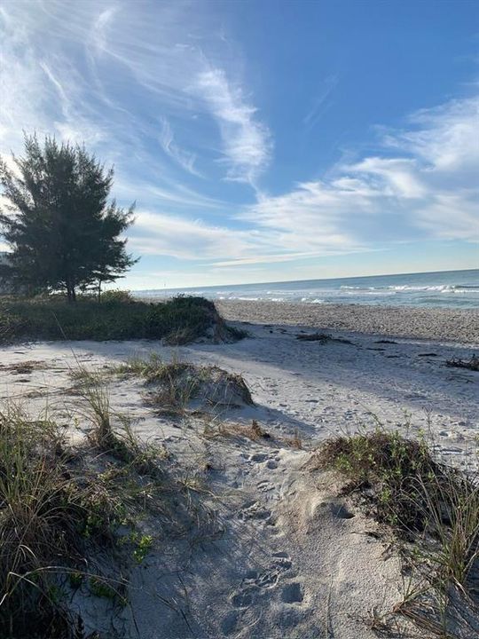 En Renta: $5,000 (2 camas, 2 baños, 1032 Pies cuadrados)